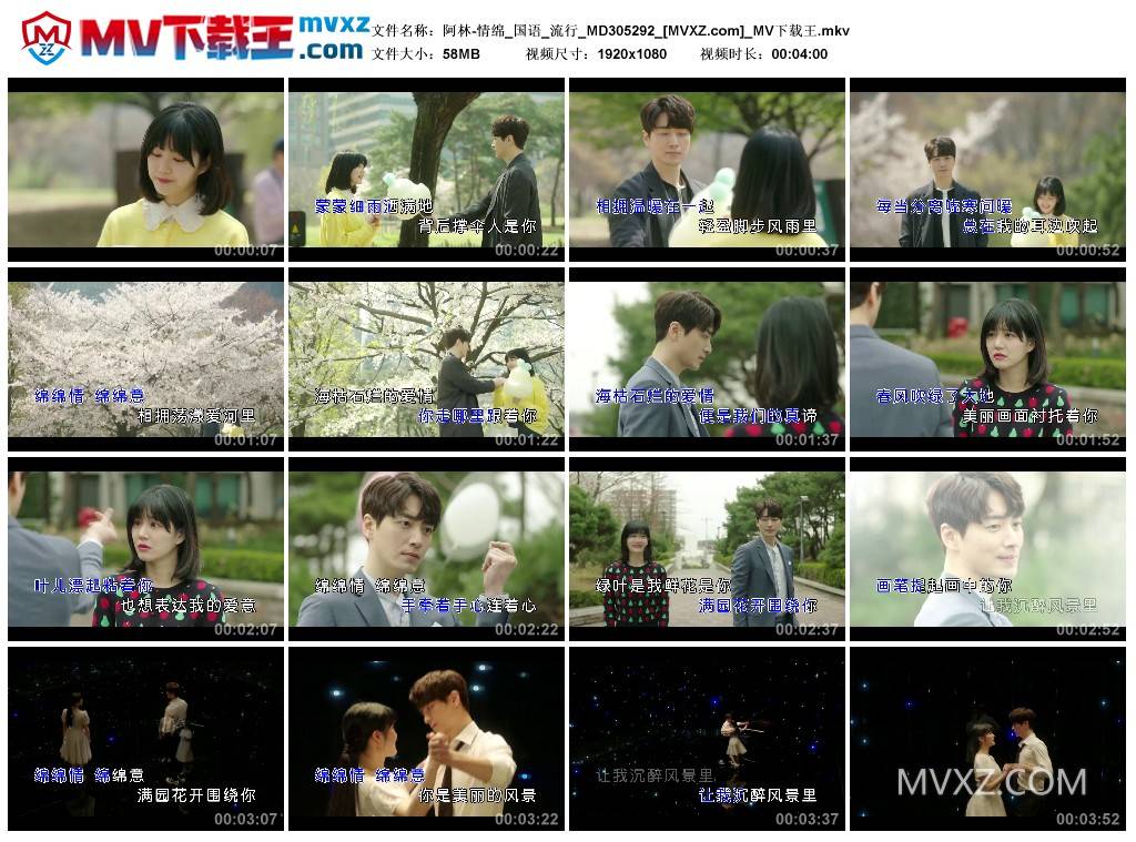 阿林-情绵_国语_流行_MD305292